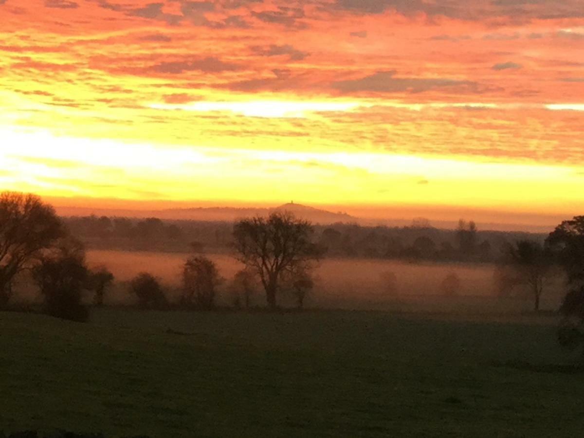 Castle Farm Bed & Breakfast Wedmore ภายนอก รูปภาพ