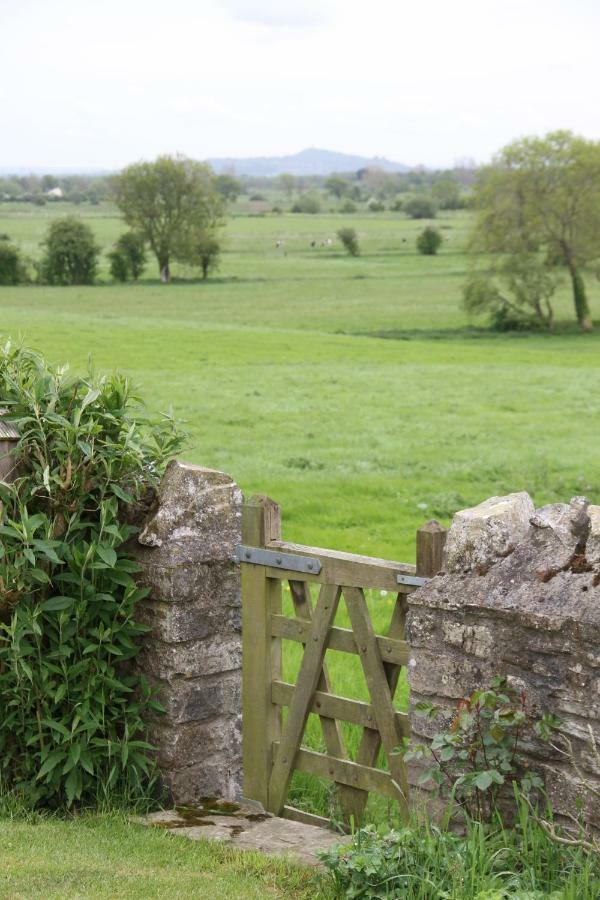 Castle Farm Bed & Breakfast Wedmore ภายนอก รูปภาพ
