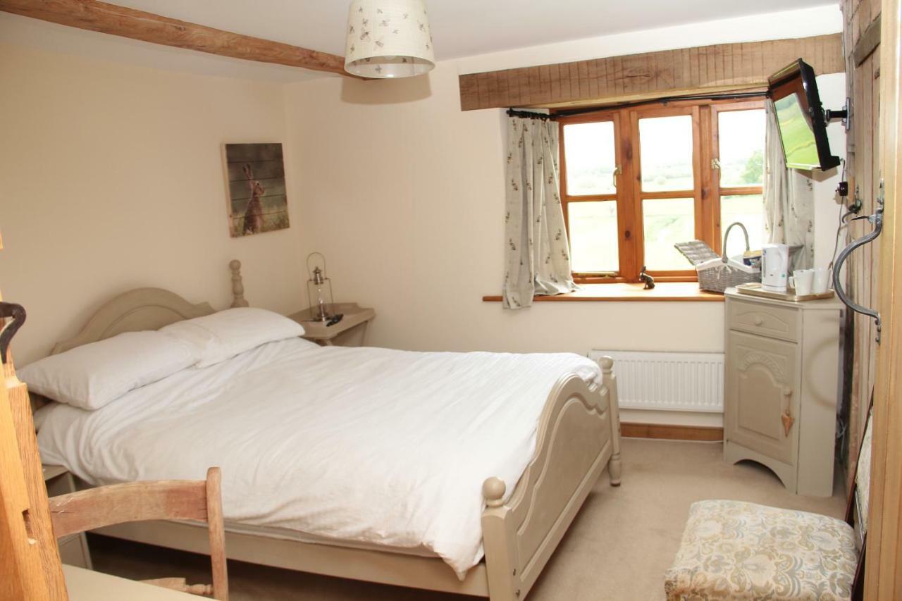 Castle Farm Bed & Breakfast Wedmore ภายนอก รูปภาพ